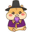 운세를 보는 사주햄